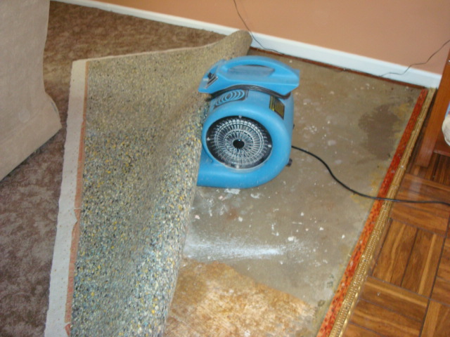 Water Damage Cleanup in Middlesex, New Jersey (8702)